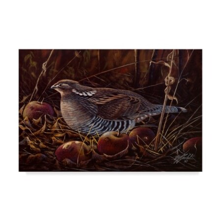 Wilhelm Goebel 'Apples And Grouse' Canvas Art,30x47